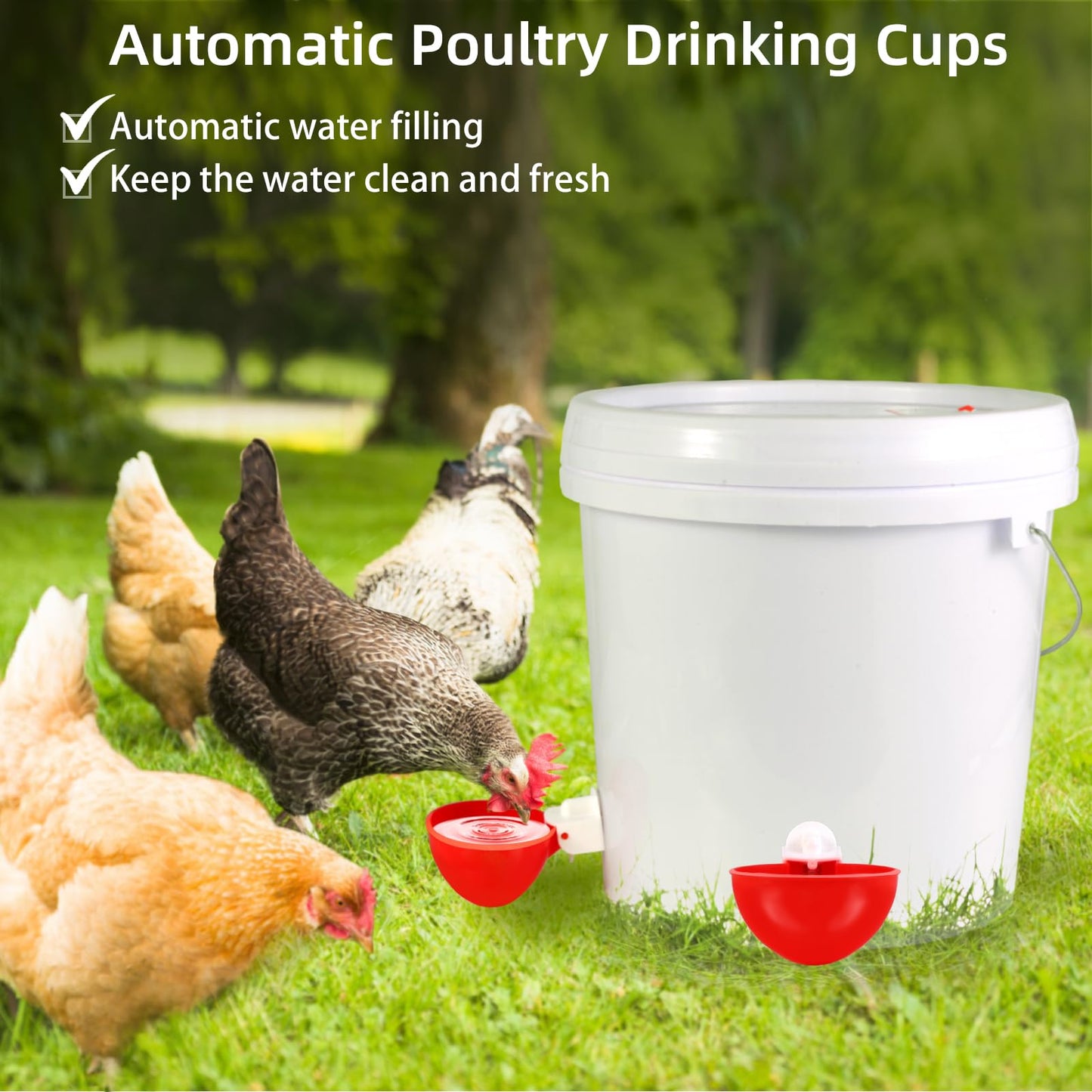 Automatic Chicken Waterer Cups,10 Pack Large Chicken Water Feeder, Universal Tee Fittings Poultry Feeder Cups Suitable for Chicken, Duck, Goose, Turkey with Mounting Hole Opener