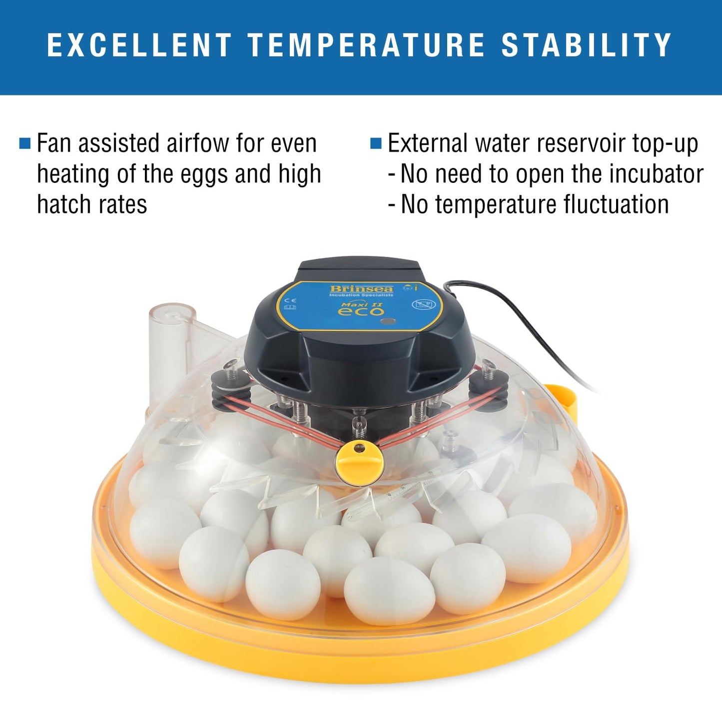 Brinsea Maxi II Eco Manual Egg Incubator with Electronic Temperature Control, Fan Assisted Air Circulation for Hatching 30 Chicken, Duck, or Other Eggs, Ideal for Beginners