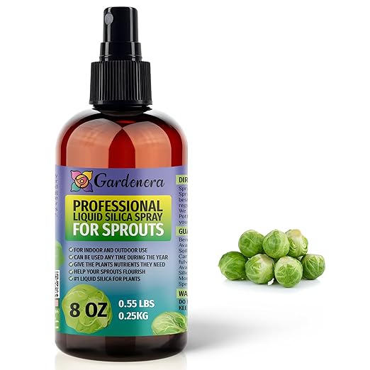 𝐒𝐔𝐏𝐄𝐑𝐈𝐎𝐑 Liquid Silica Boost Fertilizer and Supplement Spray for Sprouts Plants – Pre-Mixed, Ready-to-Use Liquid Silicon Plant Superfood Mist for Indoor & Outdoor Plants – 8oz