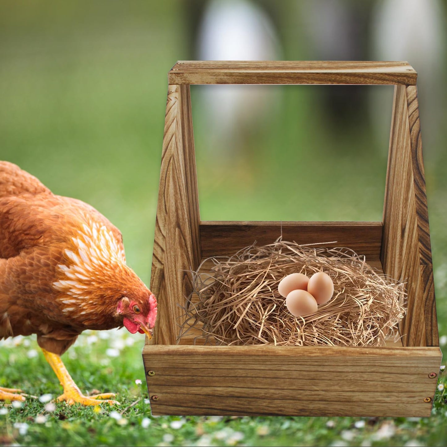 kathson Chicken Nesting Box,Wood Chickens Coop Nesting Boxes Single Compartment Hen Nesting Box Big Duty Laying Nest Boxes for Hens Ducks and Poultry(1 Pcs,No Perch)