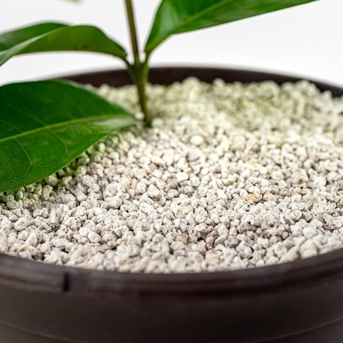 Gardenera Organic Perlite — Medium/Fine Grade (5qt) Horticultural Soil Amendment for Indoor & Outdoor Container Plants for Drainage Management and Enhanced Growth