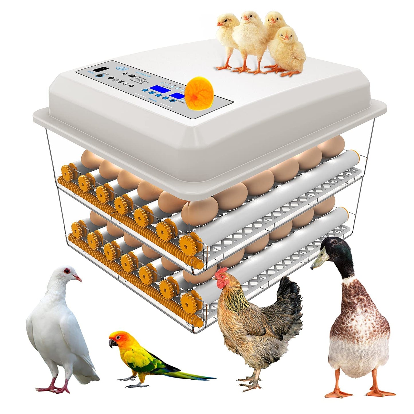 90-120 Fully Automatic Incubator, Automatic Egg Turner ，with Humidity & Temperature Control, Brooder Incubators for Hatching Eggs Quail Parrot Duck Bird