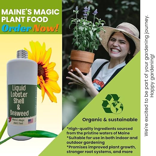 Generic Maine's Magic Plant Food Liquid Lobster Shell & Seaweed