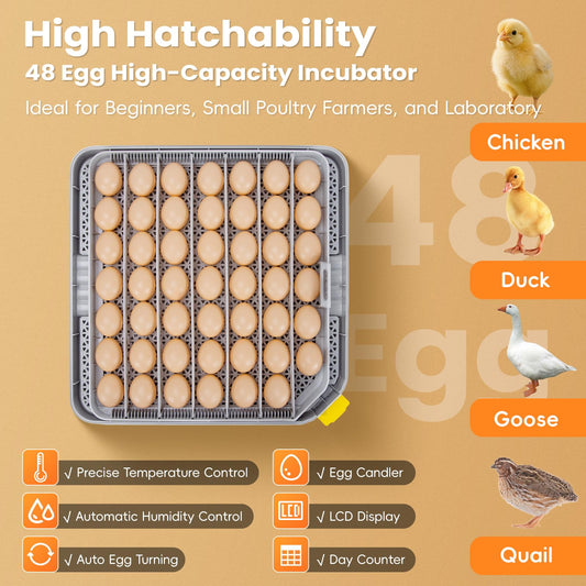 Cheeglu 48 Incubators for Hatching Eggs, Egg Incubator with Automatic Egg Turning and Humidity Control, Temp Control, Egg Candler, Auto Water Refilling, Incubator for Chicken Eggs, Duck and Quail Eggs