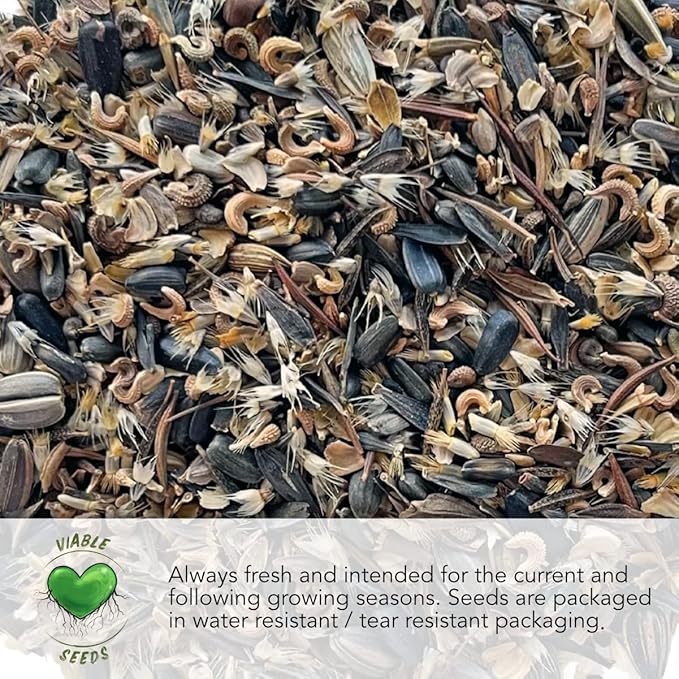Seed Needs Partial Shade Wildflower Seed Mix for Planting | 2 Ounce 14+ Varieties Open Pollinated Annual & Perennial Species | Flower Seeds Shade Tolerant | Bulk