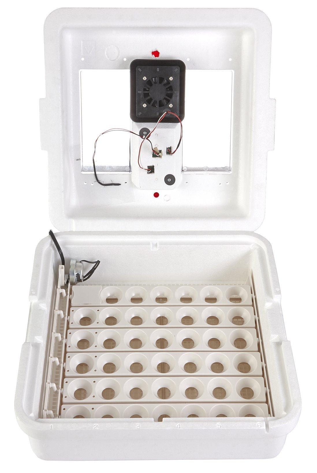 Little Giant® Digital Circulated Air Incubator with Automatic Turner | 41 Eggs | Egg Incubator with Fan and Egg Turner