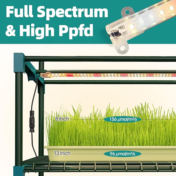 Indoor Greenhouse with Grow Lights 4 Tier Greenhouse with 4 Full Spectrum Plant Grow Lights for Early Spring Seed Germination and Indoor Growing