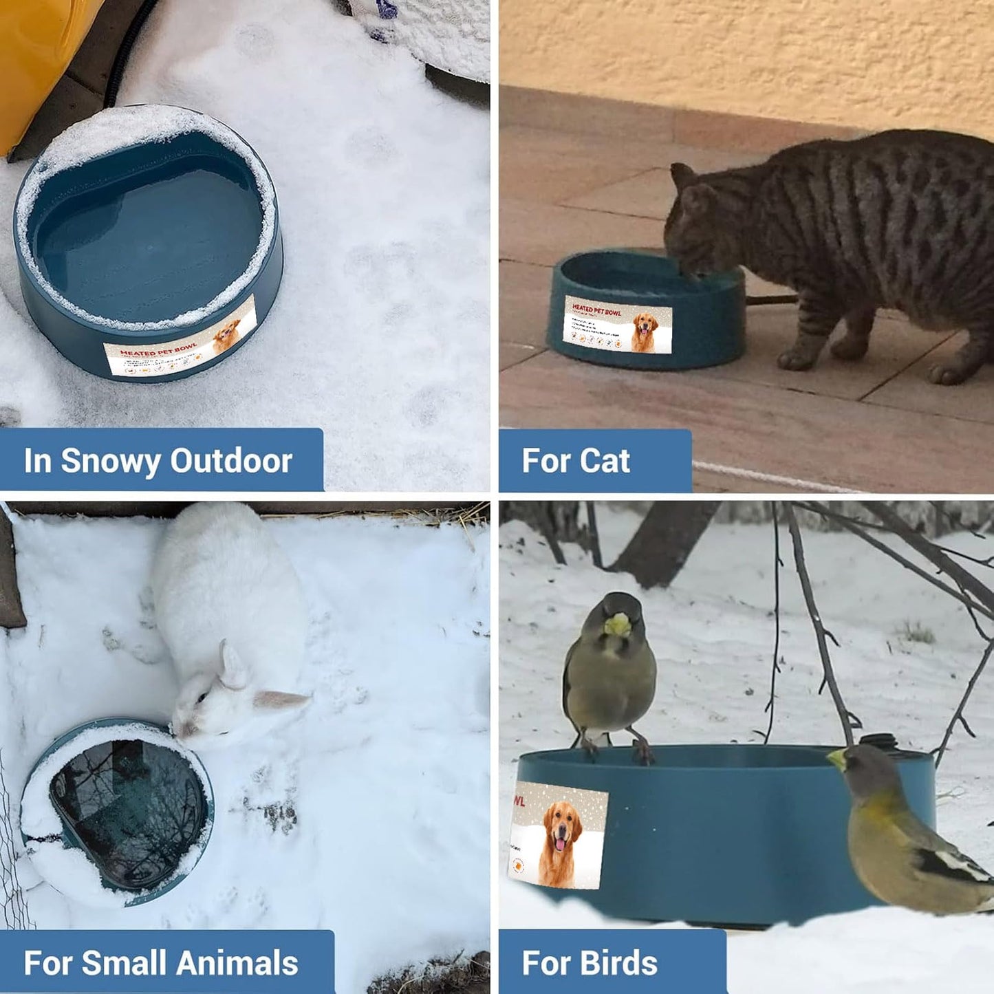 Enjoying Heated Pet Bowl for Cat Outdoor, 2.2 L, Ice Free, Heated Water Bowl for Dogs Chickens Rabbits Birds, Intellectual Temperature Control Thermal Bowl, Green