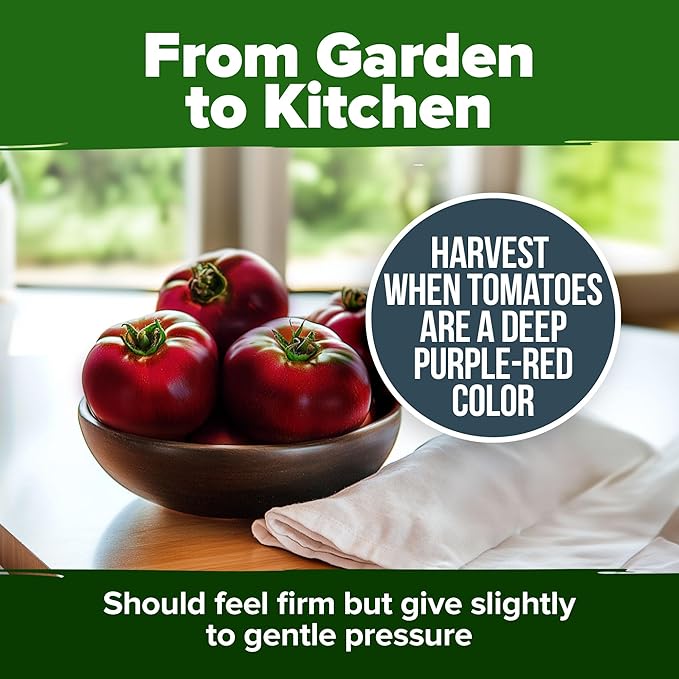 HOME GROWN Heirloom Garden Seed Kit – 3-Pack | Cherokee Purple & Large Red Cherry Tomato + Luffa Seeds | Non-GMO, USA-Sourced, High Germination Vegetable & Loofah Seeds for Sustainable Gardening