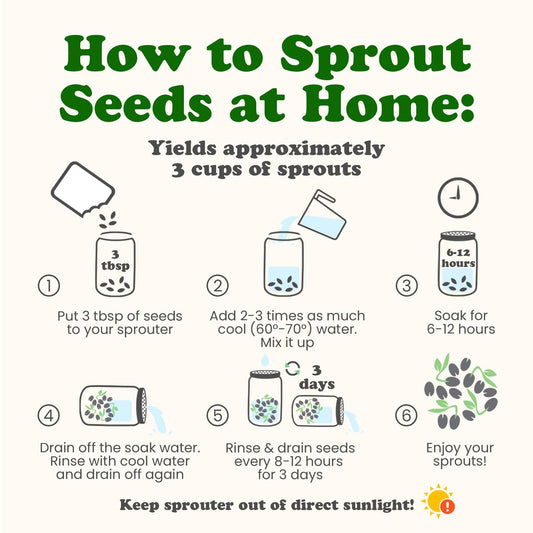 Food to Live - Antioxidant Mix of Sprouting Seeds, 10 Pounds — Broccoli, Clover, Alfalfa, Kosher, Raw, Vegan