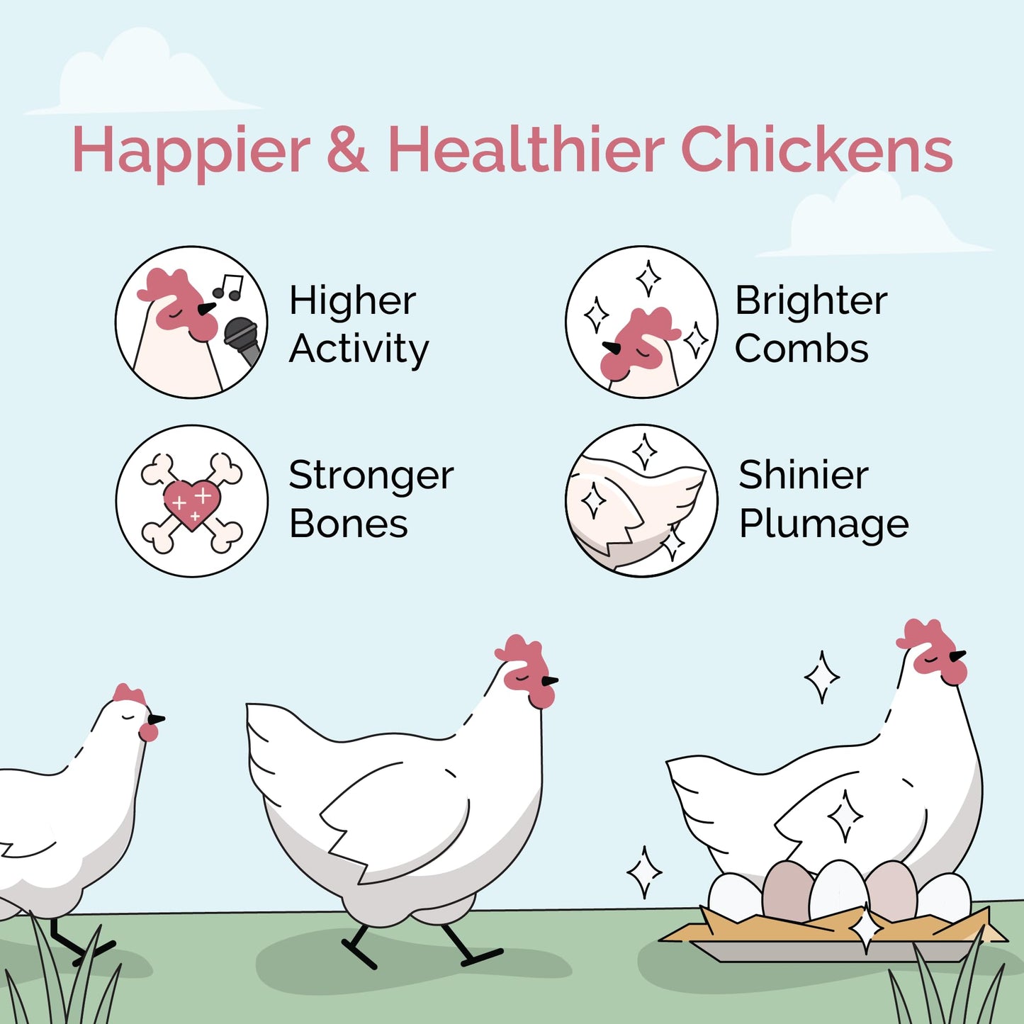 Mile Four Organic Chicken Feed – Grower Pellet, Non-GMO, USA Grown, 18% Protein, Corn-Free, Soy-Free, Non-Medicated Feed for Chickens, 2 lb Sample