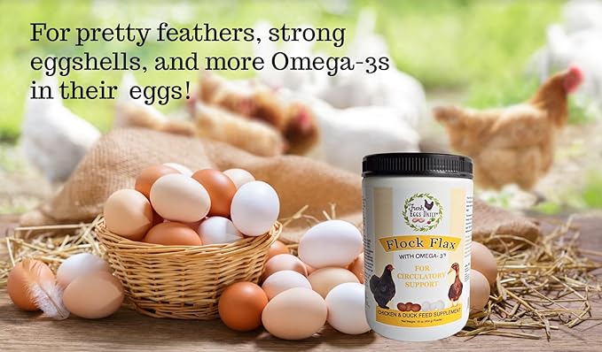 FRESH EGGS DAILY Flock Flax Feed Supplement Vitamins for Backyard Chickens and Ducks 16oz