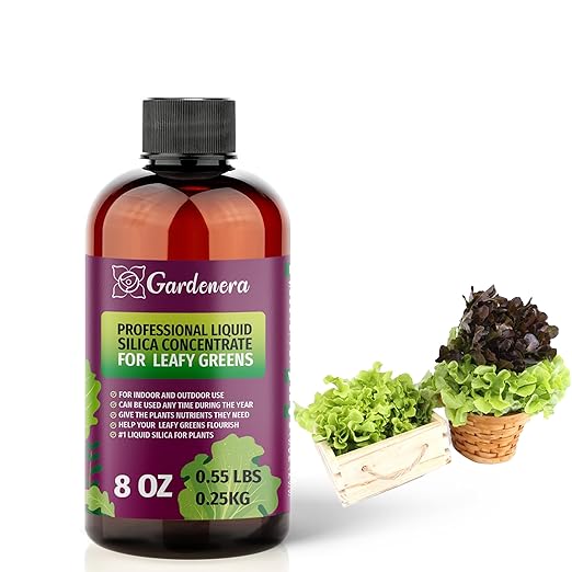 𝐏𝐑𝐄𝐌𝐈𝐔𝐌 Liquid Silica Plant Supplement - 8oz (250mL) - Leafy Greens Liquid Silica Boost Fertilizer - Stronger Stems & Healthy Leaves for Indoor & Outdoor Leafy Greens Plants (Makes 45 Gallons)
