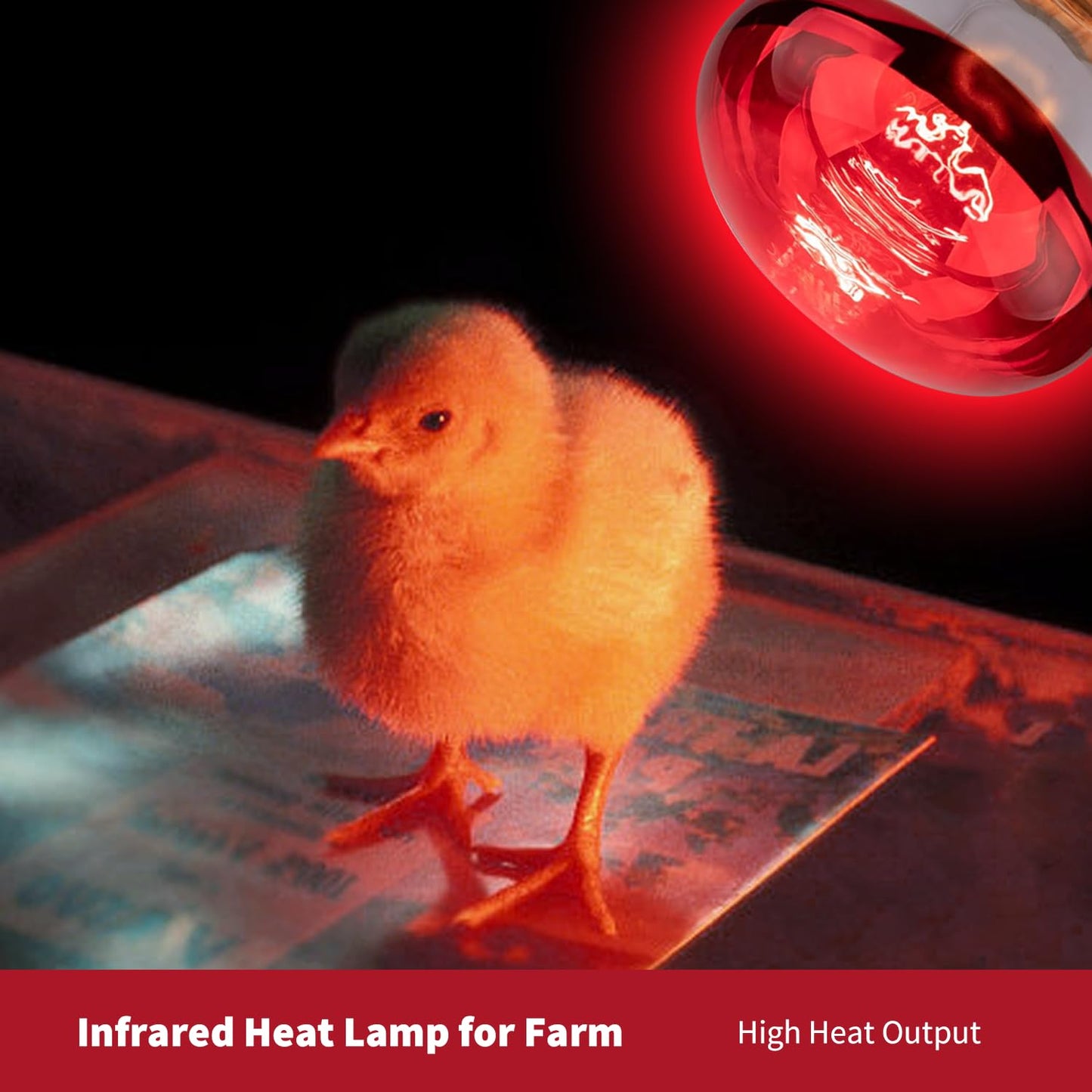 KOHEOPT 150W R40 Infrared Heat Lamp Bulb for Chicken Brooder, Pets, Reptiles, Bathroom & Sauna, E26 120V, 2000Hrs Red Light Therapy, 1-Pack