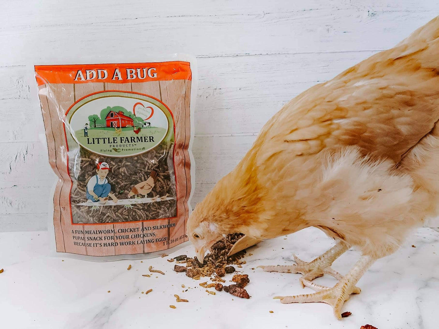 LITTLE FARMER PRODUCTS Add a Bug | Premium Poultry Mix Dried Mealworms, Silkworm Pupae and Grasshoppers | 1 lb