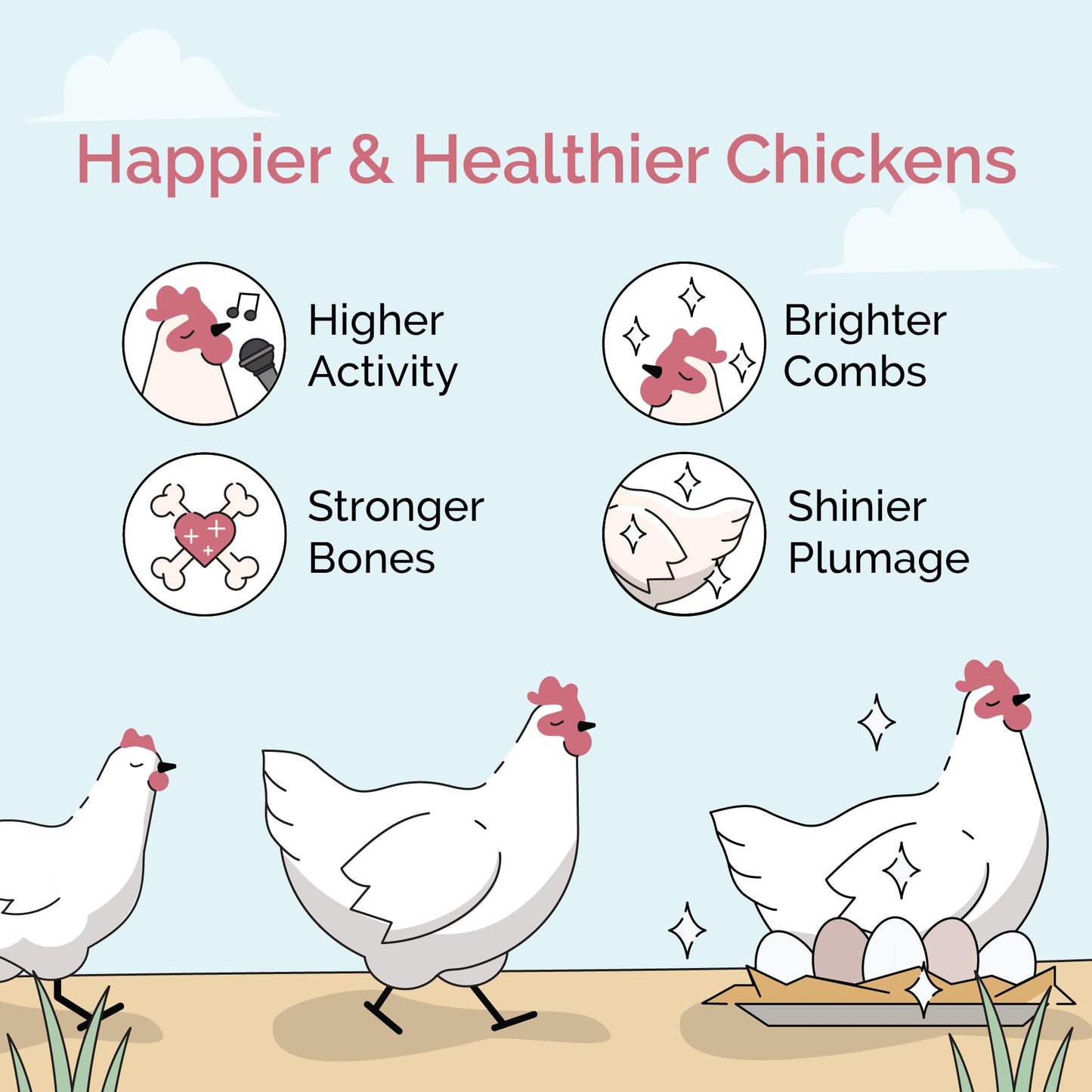 Mile Four Organic Chicken Feed – Starter Chick Mash, Non-GMO, USA Grown, 21% Protein, Corn-Free, Soy-Free, Non-Medicated Chick Feed, 2 lb Sample