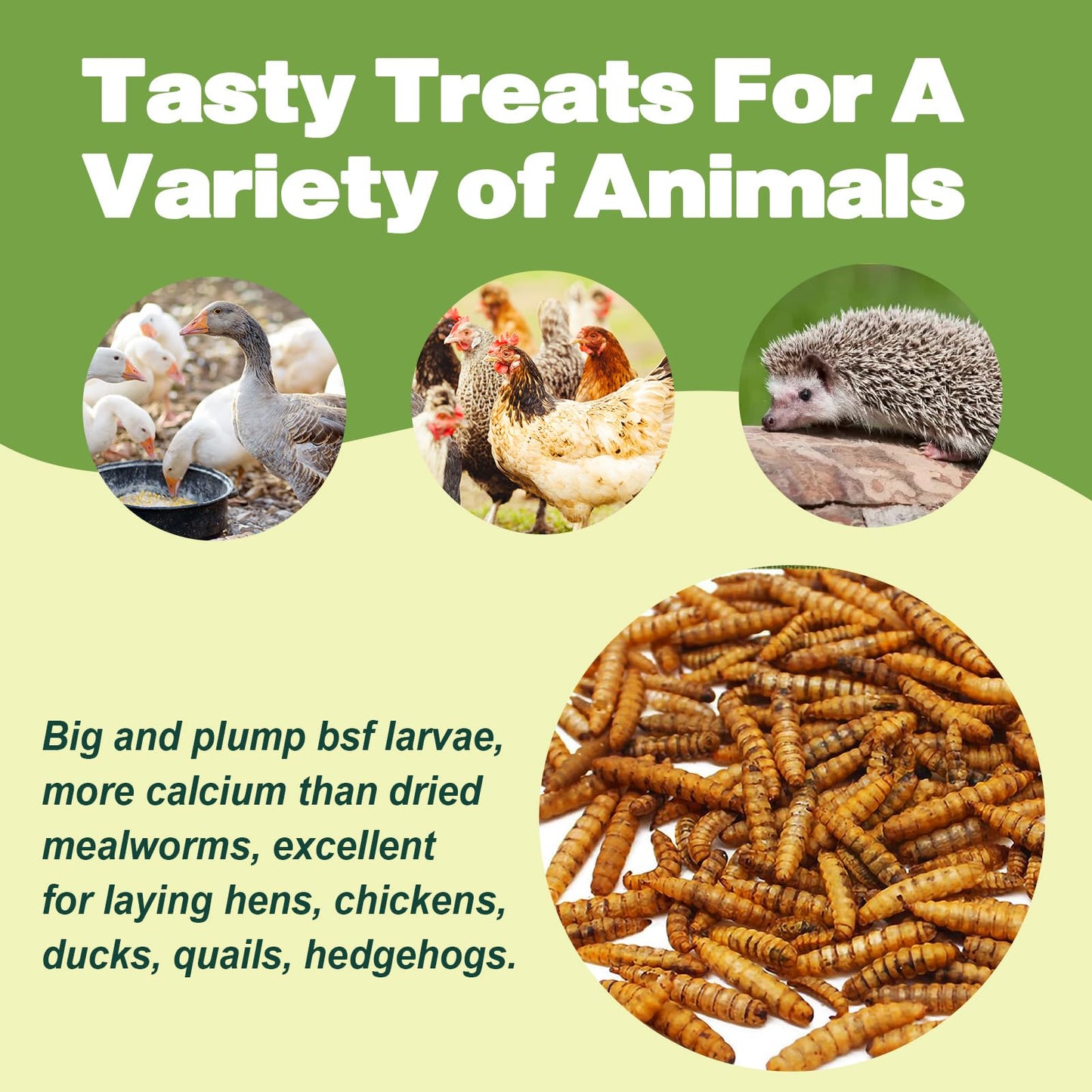 LIWII 10LB Dried Black Soldier Fly Larvae, 86X Calcium Than Dried Mealworms, High Protein Non-GMO Organic Chicken Feed