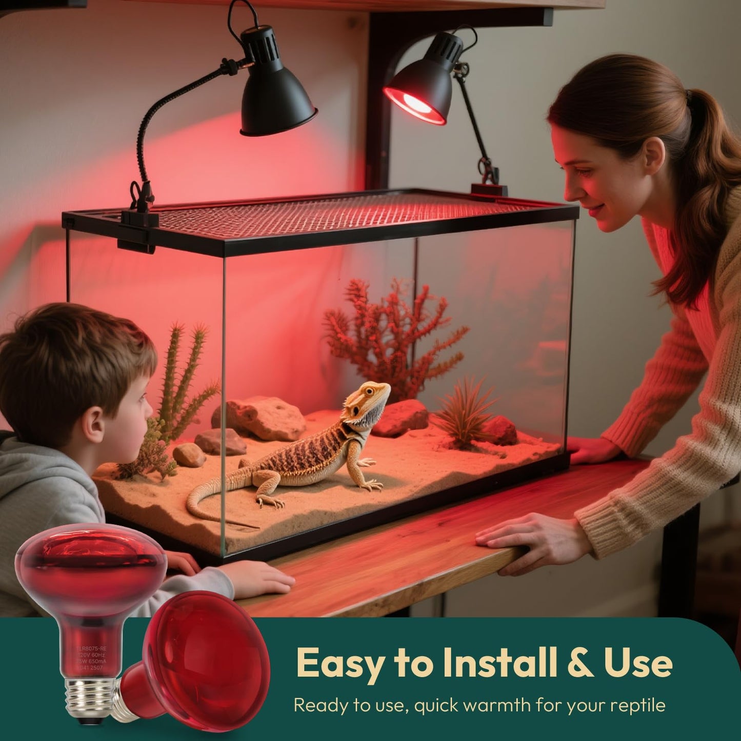 ALAMPEVER 2 Pack Red Heat Lamp Bulb, 75 Watt Infrared Light Bulb for Bearded Dragon, E26 Base, Durable Reptile Heat Bulb for Amphibian, Lizard, Tortoise, Gecko