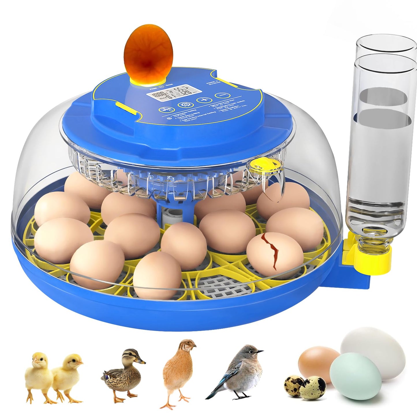 18 Egg Incubator with Automatic Egg Turning & Humidity Control, 360° Viewing, Dual Egg Trays,Incubators for Hatching Eggs, Chicken, Duck, Quail, Goose, Parrot (Home, Farm, Lab,Classroom Use)