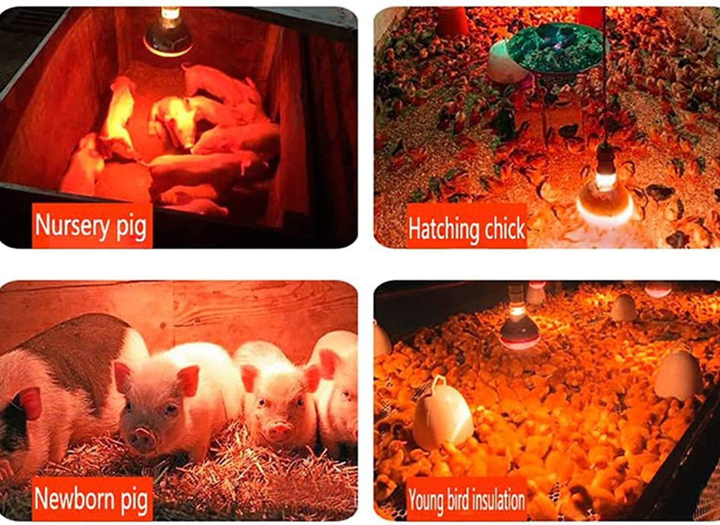 Qixivcom 2-Packs 275W Heat Lamp Bulb Infrared Heating Bulbs E26 110V Red Light Heat Lamp Waterproof Anti-Explosion Thickened Light Bulbs for Piglet Chicken Duck Birds Bathroom Use