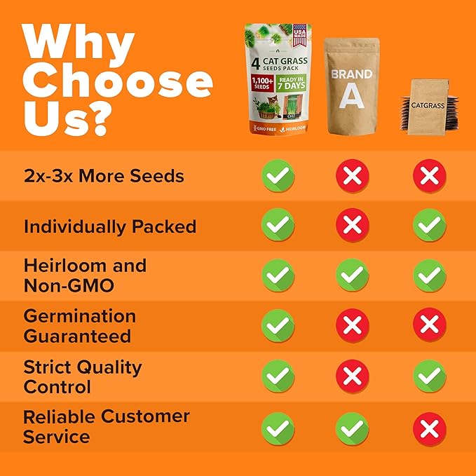 HOME GROWN Cat Grass Seed Mix – Non-GMO Oat, Alfalfa, Rye & Wheat Seeds for Cats | Indoor Pet Grass with Fast Germination | Digestive Aid, Hairball Relief & Safe Chew Alternative