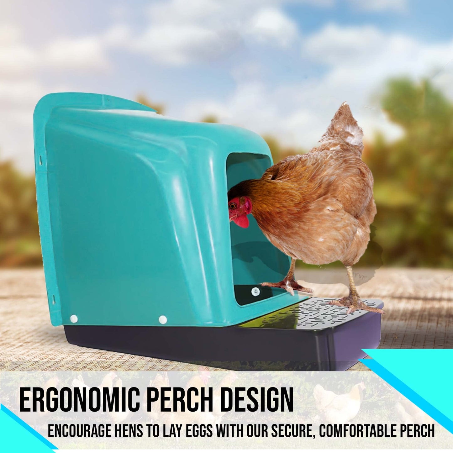 TOSSCA Nesting Boxes for Chicken Coops | Roll Away Hen House for Laying Eggs | Durable Plastic Chick Brooder Box with Perch & Pull Out Egg Tray for Poultry Farm | Chicken Coop Accessories (Pack of 5)