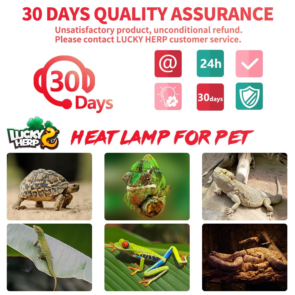 LUCKY HERP Infrared Heat Lamp 100W 2 Pack，Reptile & Amphibian Basking Spot Light Bulbs, Red Heat Lamp Bulbs for Reptiles, Bearded Dragon, Turtle, Lizard, Snake, Chicken