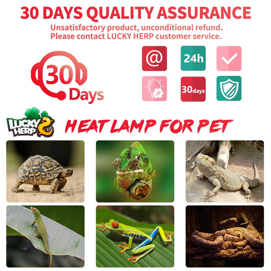 LUCKY HERP Infrared Heat Lamp 100W 2 Pack，Reptile & Amphibian Basking Spot Light Bulbs, Red Heat Lamp Bulbs for Reptiles, Bearded Dragon, Turtle, Lizard, Snake, Chicken
