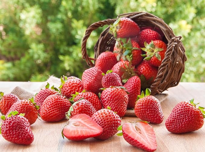 Fruit Seeds Combo Pack - 6 Types, Strawberry Raspberry Mulberry Apple Orange Blueberry Seeds, Non-GMO Heirloom and Organic, for Home Garden (600pcs)