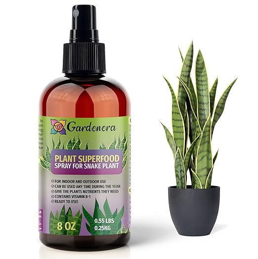 𝐁𝐄𝐒𝐓𝐒𝐄𝐋𝐋𝐄𝐑 Plant Superfood for Snake Plants with B1 Vitamin, Glucose and Essential Minerals - Organic Plant Food Fertilizer for Indoor & Outdoor Snake Plant Care - 8oz