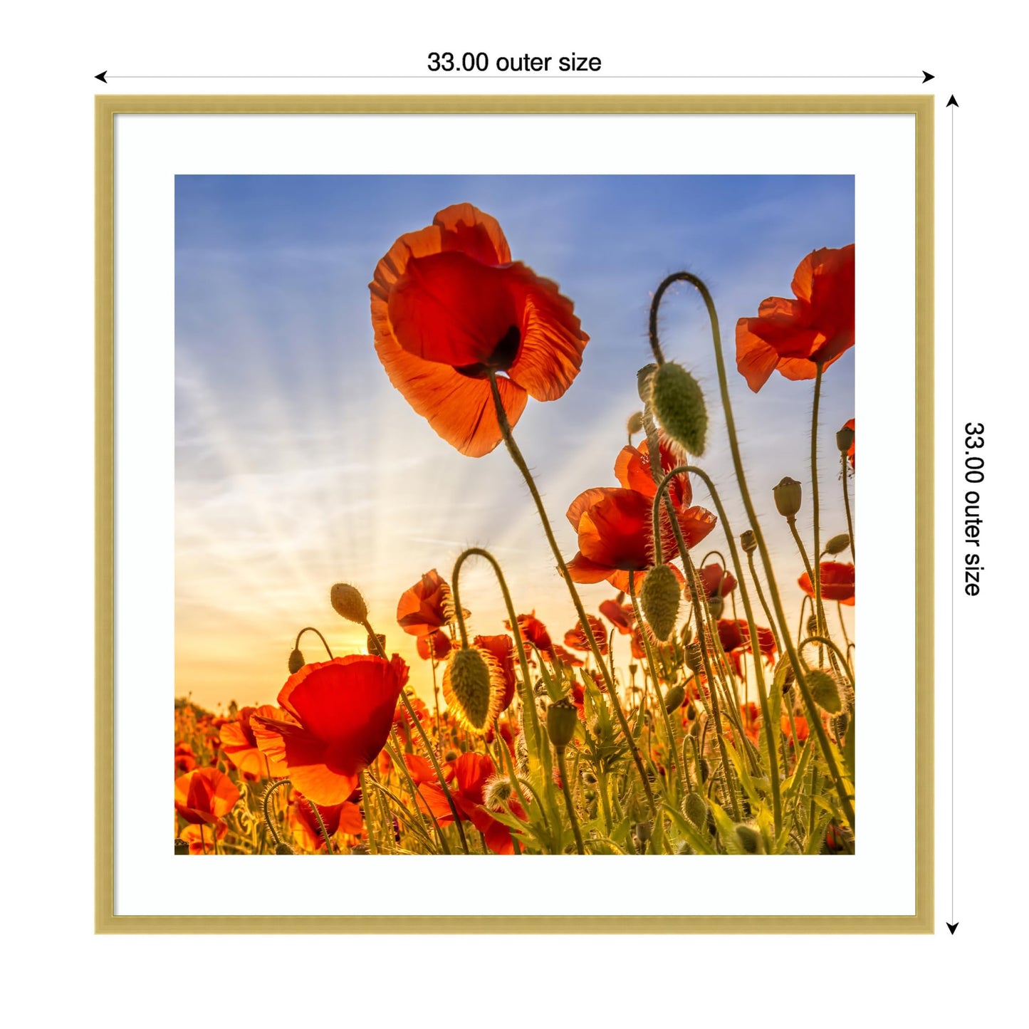 Amanti Art Framed Wall Art Print 33x33 Fascinating Poppies by Melanie Viola, Flowers Wall Art, Rustic Farmhouse Decor, Large Poster Painting Artwork for Living Room, Bedroom, Bathroom, Kitchen, Office
