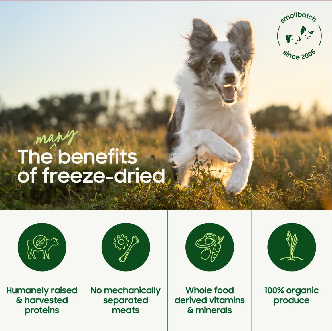 smallbatch Pets Freeze Dried Raw Dog Food, Turkey Recipe, 25 oz, Organic High Protein Dog Food, Grain Free, Made in The USA, Humanely Raised Meat, Single Protein, for Picky Eaters, Hydrate & Serve