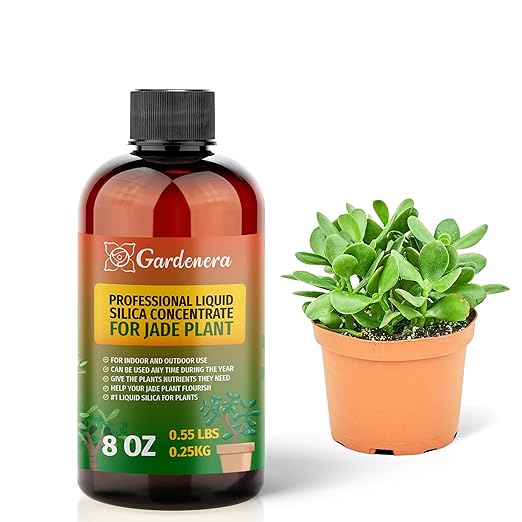 𝐏𝐑𝐄𝐌𝐈𝐔𝐌 Liquid Silica Plant Supplement - 8oz (250mL) - Jade Plants Liquid Silica Boost Fertilizer - Stronger Stems & Healthy Leaves for Indoor & Outdoor Jade Plants (Makes 45 Gallons)