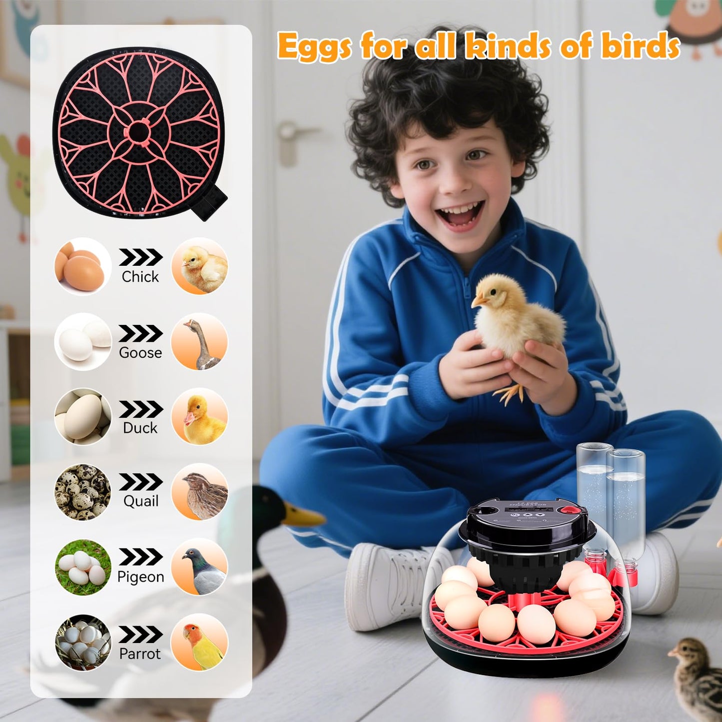 Incubator for incubating Eggs,12 Egg with Temperature and Humidity Control, Automatic Egg Turner, Egg Candler, External Water Bottle Refill, 360° Clear View, Hatching Chicken Duck Quail Bird