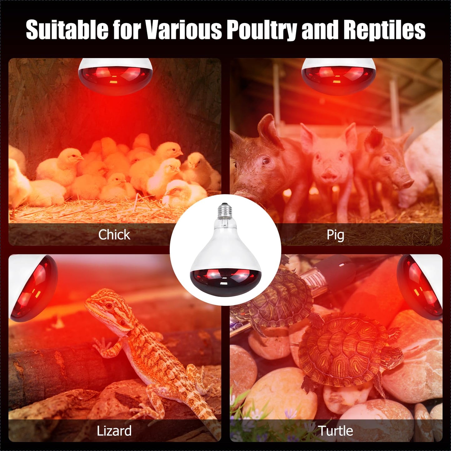 REPTI HOME 250W Infrared Heat Lamp for Chicken, Red Heat Light Bulb R125 2 Pack, Heat Lamp Bulb for Chick Croop, Reptiles, Pets, Food