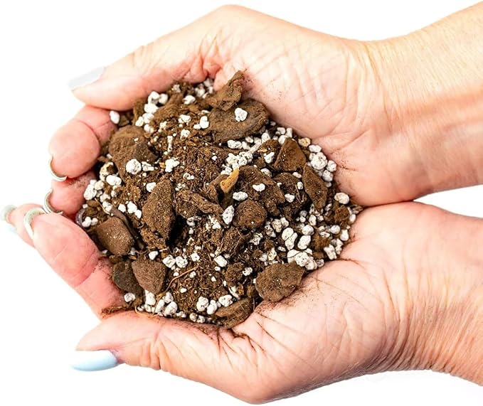 GARDENERA Palm Tree Potting Mix - The Ultimate Soil for Strong and Healthy Palms - Top Choice for Palm Tree Growers [10 Quart Bag]