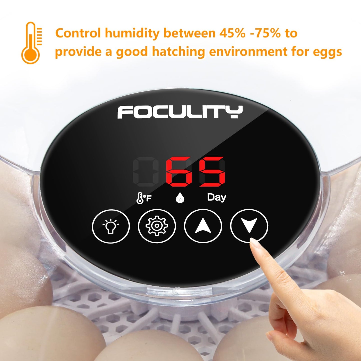 FOCULITY Egg Incubators for Hatching Eggs with Smart Automatic Turning Small Poultry Duck Quail 12 Eggs Chicken Incubator Temperature Days Control Humidity Display Candler Hatcher Machine, Fahrenheit