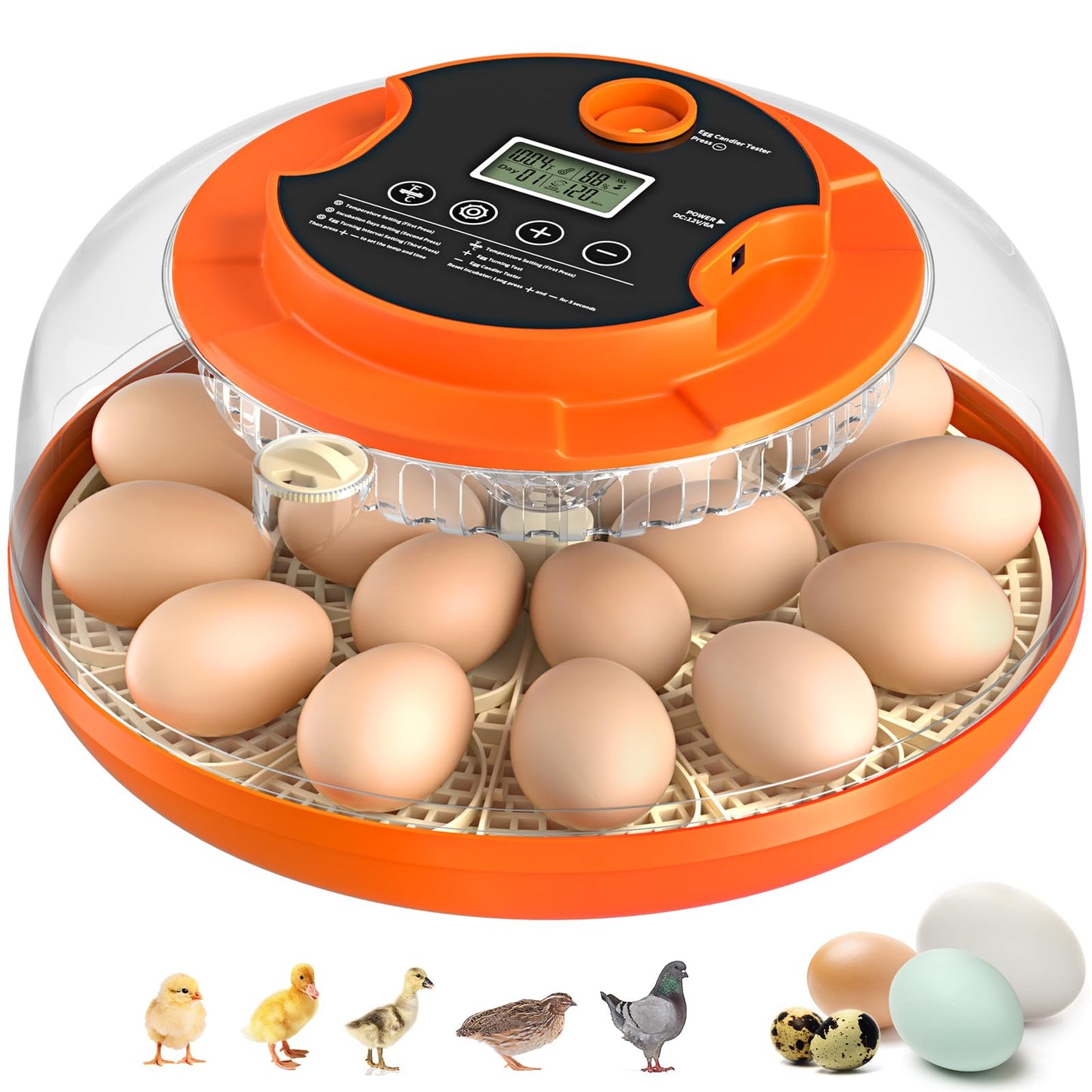 Egg Incubator with Automatic Egg Turning and Humidity Control, 18 Eggs Incubators for Hatching Eggs Chicken Quail Ducks Goose Parrot for Home Lab Farm Classroom