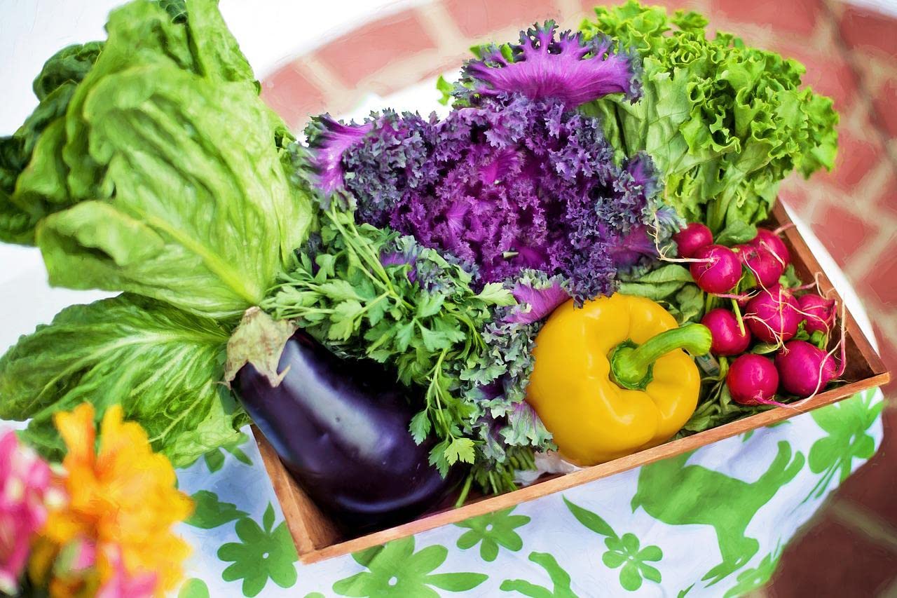 250 Packs Assorted Heirloom Vegetable Seeds 30+ Varieties All Seeds are Heirloom, 100% Non-GMO Thousands of Seeds (250 Vegetable Seed Packets)
