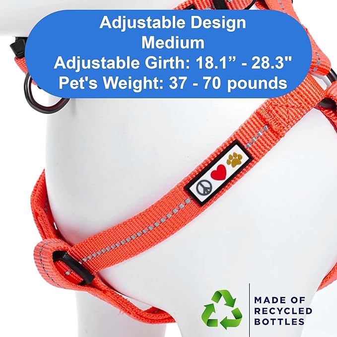 Pawtitas Recycled Dog Harness with Reflective Stitched a Puppy Harness Made from Plastic Bottles Collected from Oceans Medium Livng Coral
