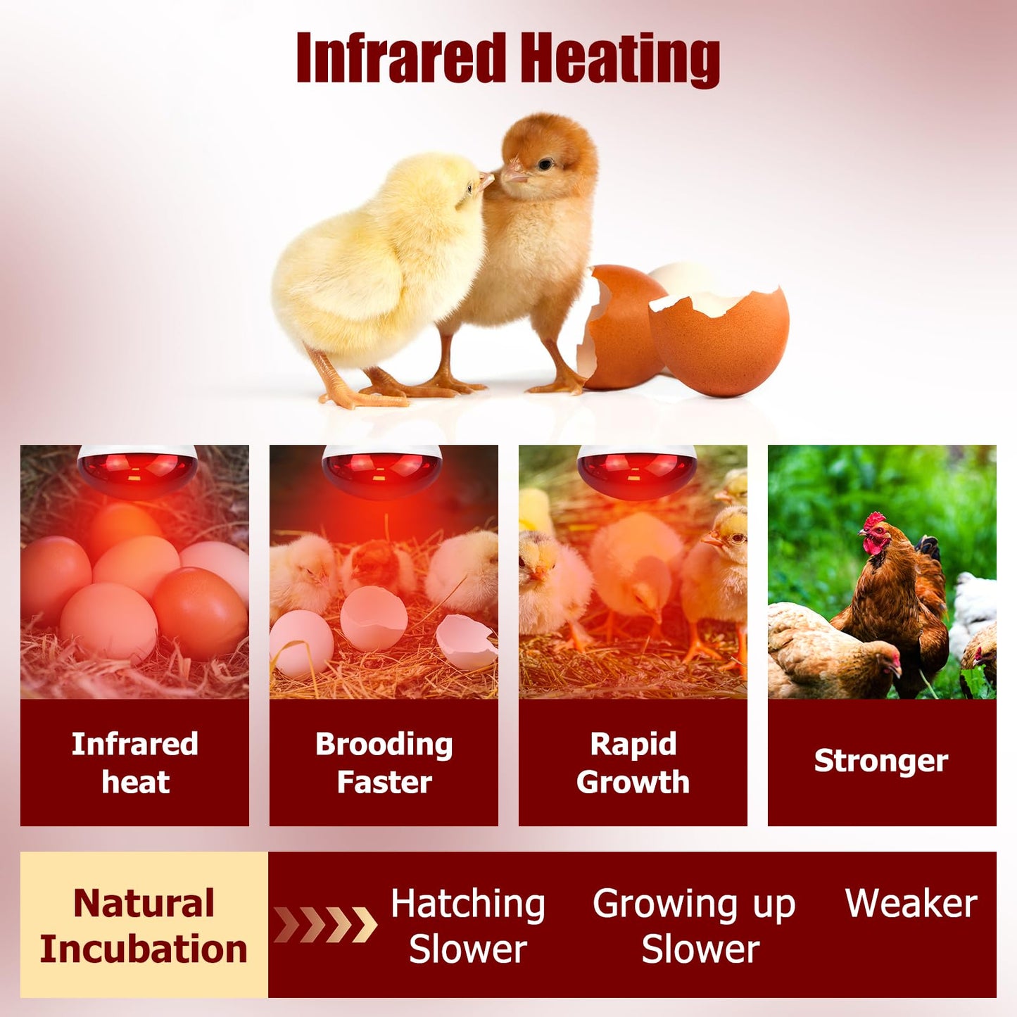 REPTI HOME 250W Infrared Heat Lamp for Chicken, Red Heat Light Bulb R125 2 Pack, Heat Lamp Bulb for Chick Croop, Reptiles, Pets, Food