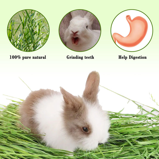 Grass mat for Rabbit Bunny Sangle Sopffy 6 Pcs,Rabbit Hay Mat,Small Animal Cages Hay Mat,Rabbit Grass Mat,Nesting and Toys for Guinea Pig Parrot Rabbit Bunny Hamster Chinchilla Squirrel