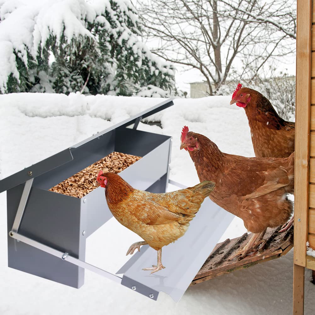 APlayfulBee Automatic Chicken Feeder 5L Treadle Galvanized Steel Poultry Feeders Self-Opening Automatic Food, with Weatherproof Lid Rain Cover for Roosters Pheasant Chicken Outdoor Coop