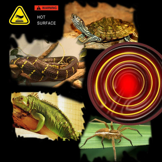 OMAYKEY 100W 2 Pack Ceramic Heat Lamp Bulb Infrared Reptile Heat Emitter Heater Lamps Bulbs for Brooder Coop Chicken Lizard Bearded Dragon Turtle Snake Aquarium, No Light Emitted No Harm (ETL Listed)