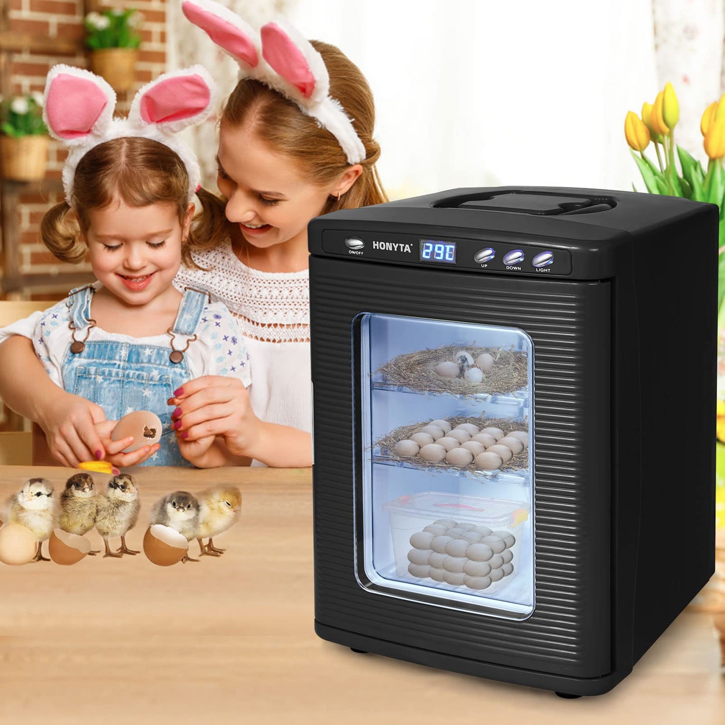 RYFT Incubators for Hatching Eggs, 25L Portable Reptile Scientific Lab Incubator with 5°C-60°C, 12V/110V Heating and Cooling for Small Reptiles (Black)