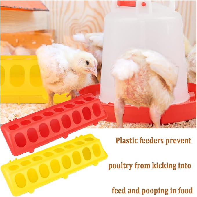 6 Pack Chick Feeder Waterer Hanging Poultry Feeder Kit for Pigeon, Chick, Duckling, Quail (1 L)
