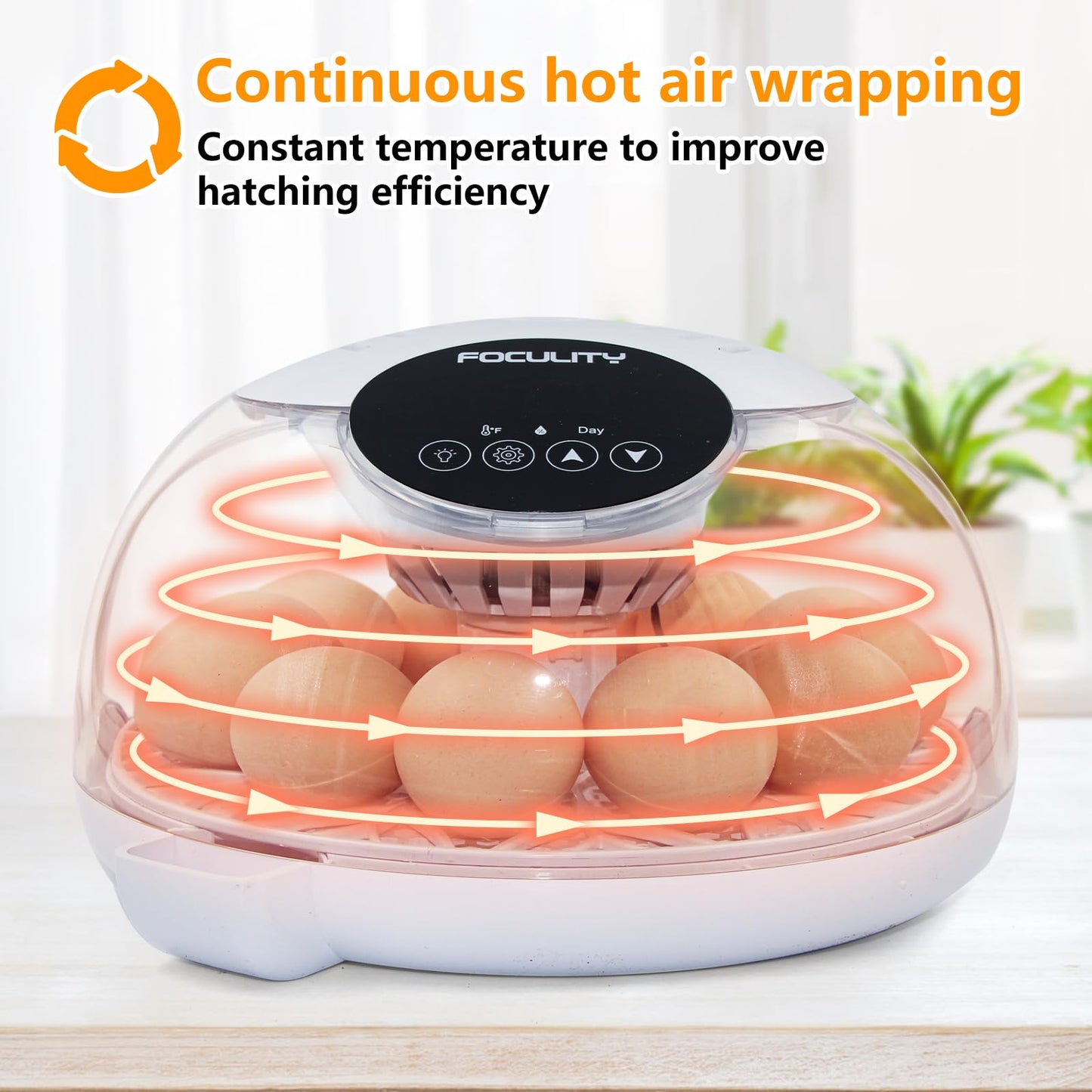 FOCULITY Egg Incubators for Hatching Eggs with Smart Automatic Turning Small Poultry Duck Quail 12 Eggs Chicken Incubator Temperature Days Control Humidity Display Candler Hatcher Machine, Fahrenheit