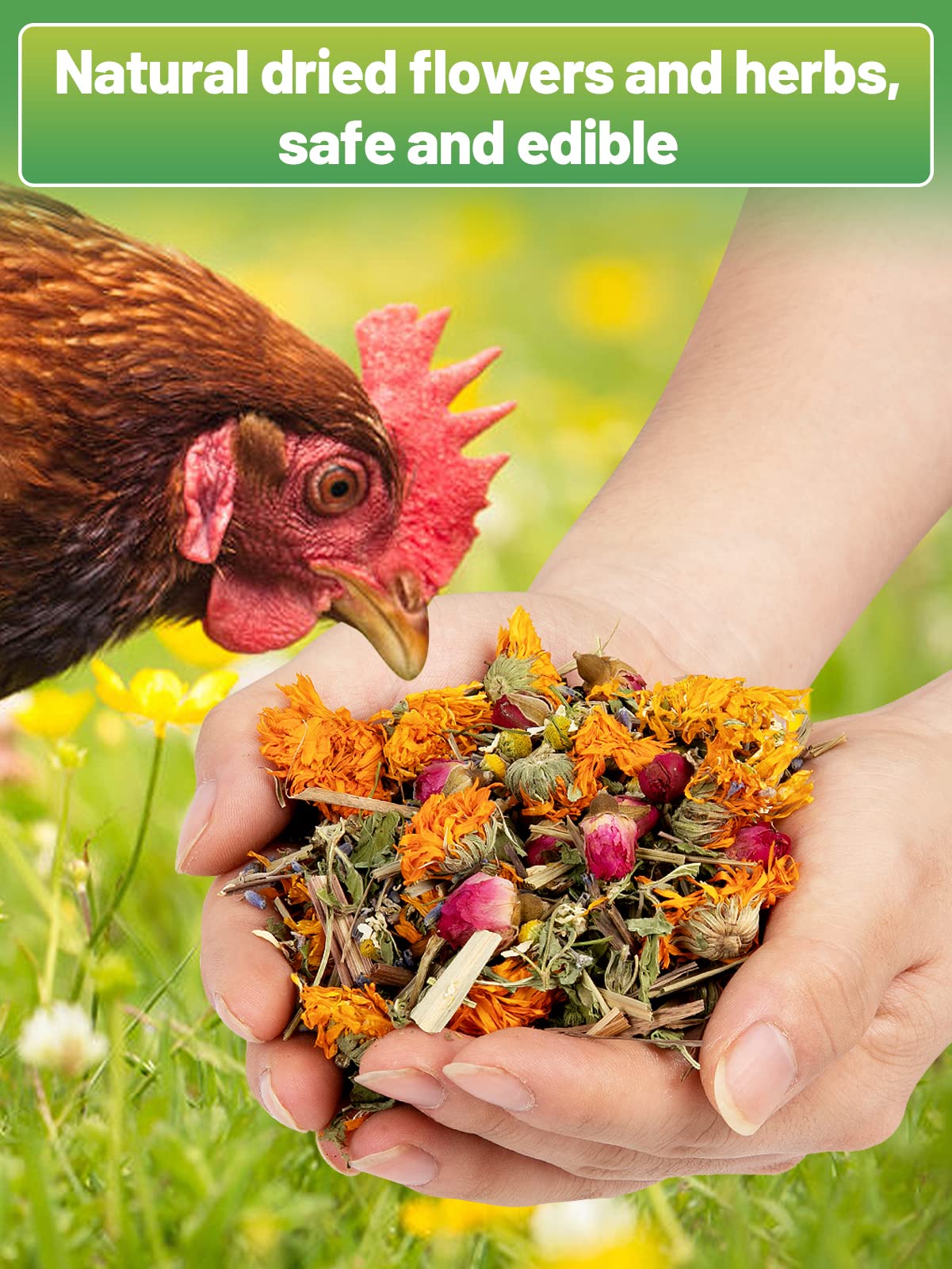 14 Oz Chicken Nesting Herbs - Natural Nesting Box Feed Herbs in 6 Dried Flower & Herbs for Freshening Bedding Chicken Coop Create Comfortable Environment