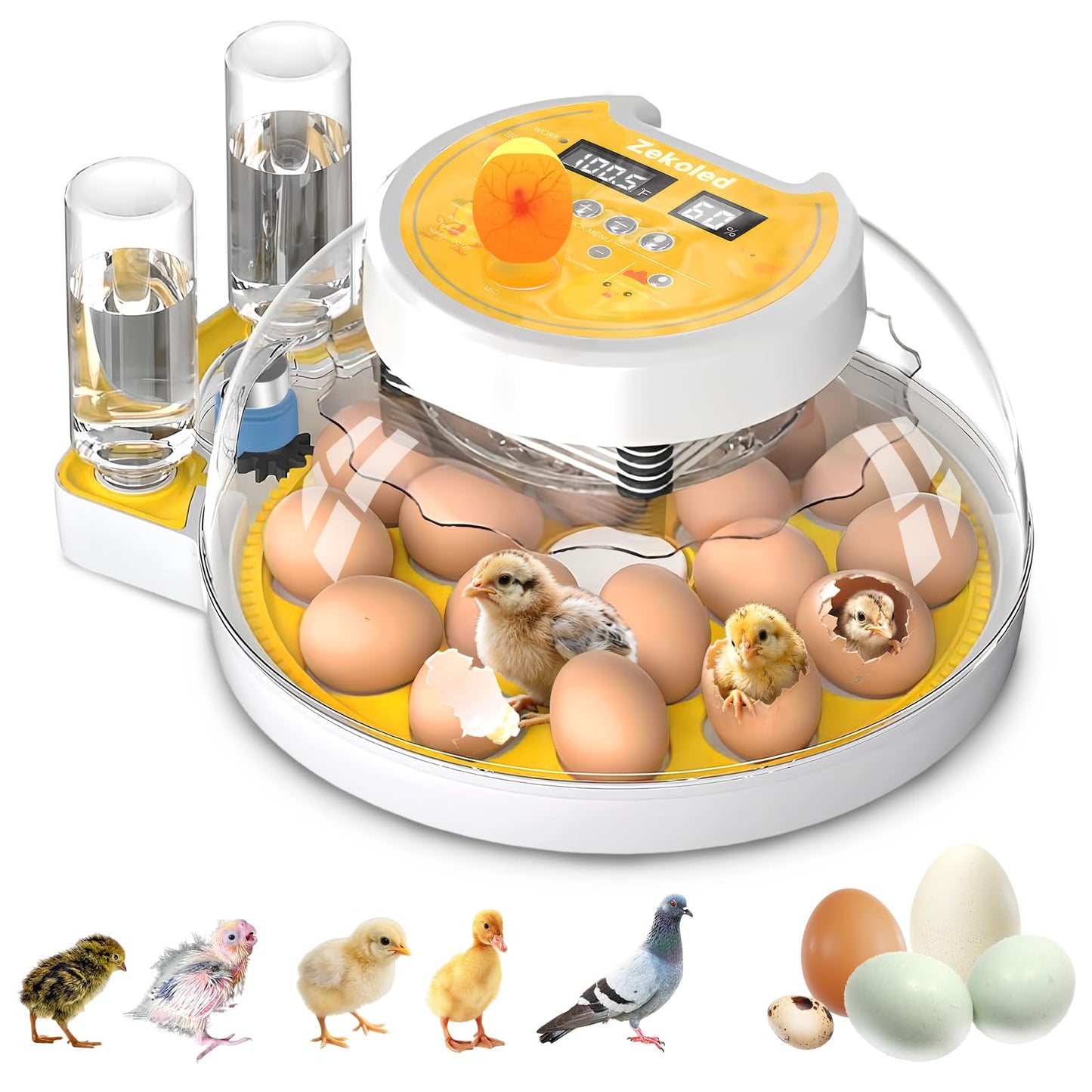 Zekoled Incubators for Hatching Eggs, Incubator with Automatic Egg Turning and Humidity Control, 18 Egg Poultry Incubator with Automatic Water Adding, Viewing for Chicken, Duck, Quail, Goose, Parrot