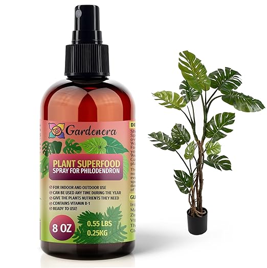 𝐁𝐄𝐒𝐓𝐒𝐄𝐋𝐋𝐄𝐑 Plant Superfood for PHILODENDRON Plants with B1 Vitamin, Glucose and Essential Minerals - Organic Plant Food Fertilizer for Indoor & Outdoor PHILODENDRON Plant Care - 8oz